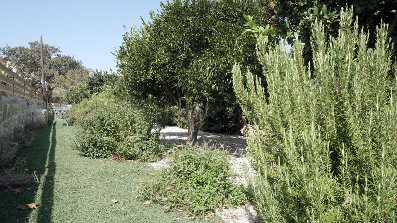 Studio Panagiota - Oasis Holiday Houses Коккинос Пиргос Экстерьер фото